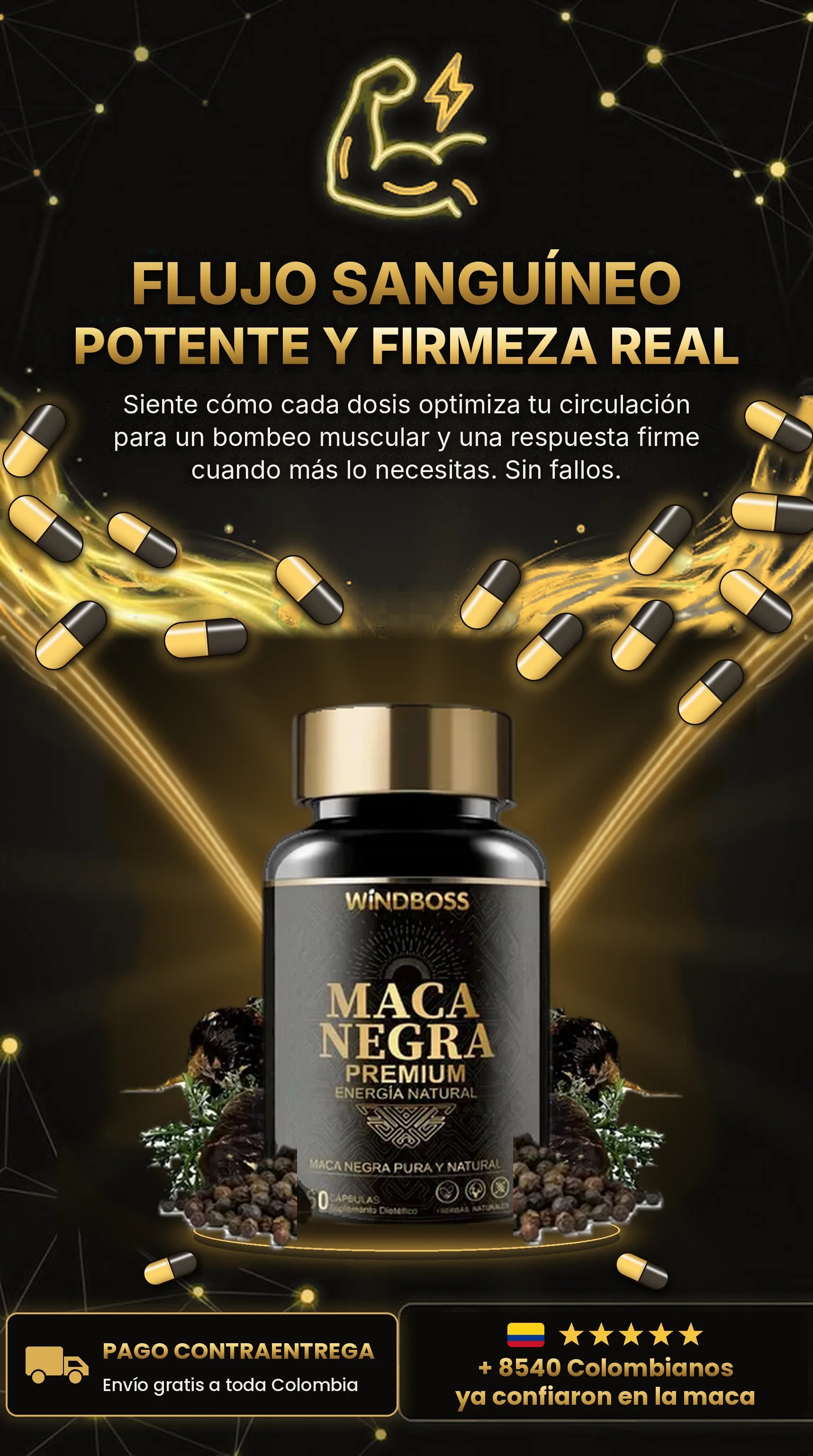 Flujo sanguíneo
